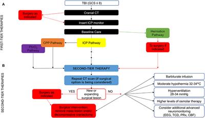 Addressing Key Clinical Care and Clinical Research Needs in Severe Pediatric Traumatic Brain Injury: Perspectives From a Focused International Conference